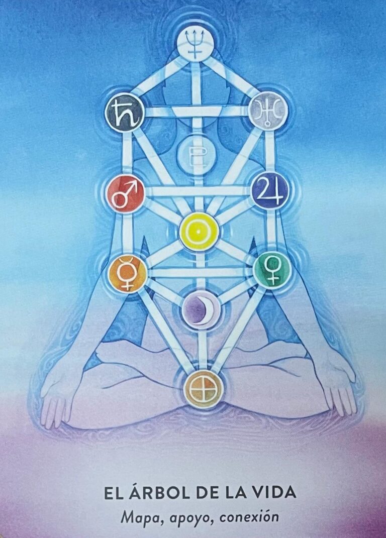 whatsapp image 2025 12 09 at 21.54.04