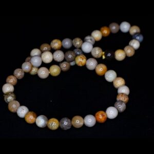 pulsera jaspe coral fosil